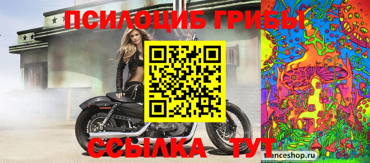 Заводоуковск  Псилоцибиновые грибы Psilocybine cubensis  Вход с VPN 