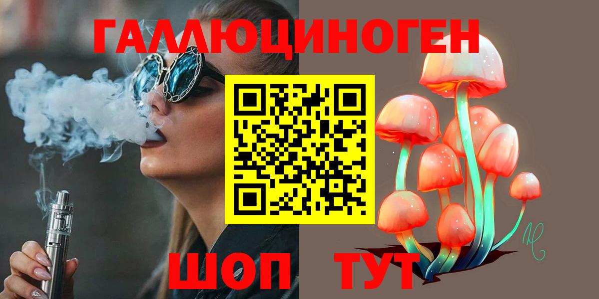 Галлюциногенные грибы Psilocybe Заводоуковск